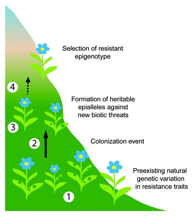 Figure 1. 