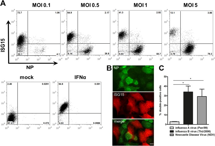 FIG 1