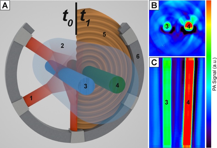 Fig. 7