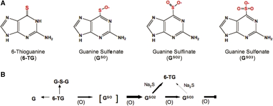 Figure 7.