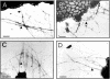 FIG. 6.