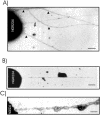 FIG. 7.