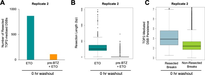 Figure 3—figure supplement 1.