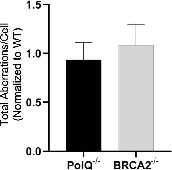 Figure 5—figure supplement 1.