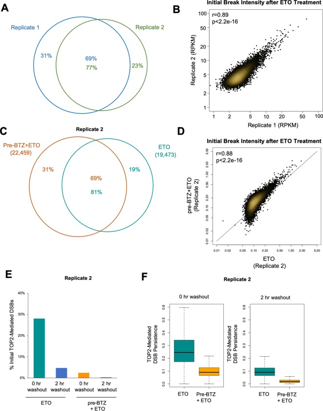 Figure 2—figure supplement 1.