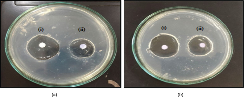 Fig. (9)