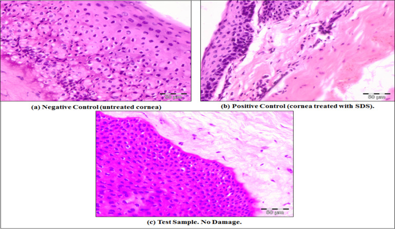 Fig. (12)