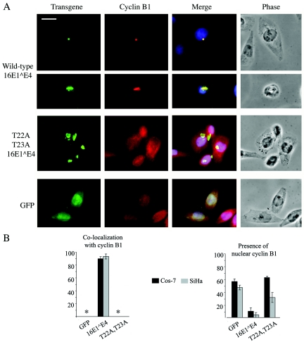 FIG. 6.