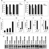 FIGURE 10.