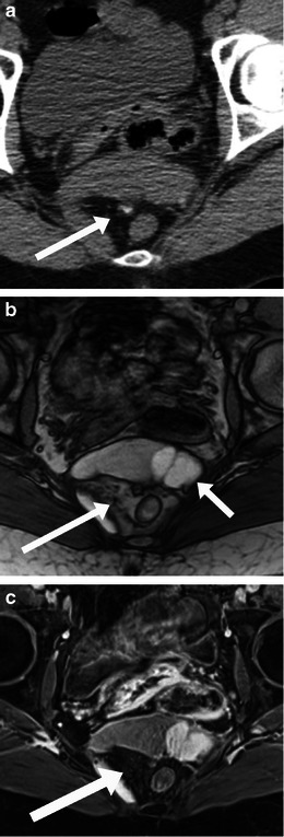 Fig. 8