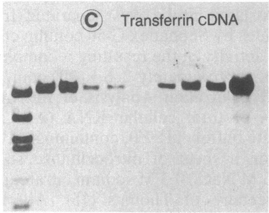 graphic file with name pnas00348-0255-c.jpg