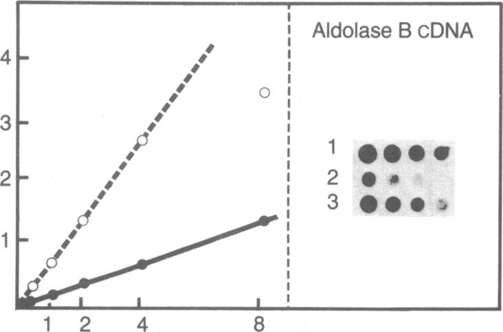 graphic file with name pnas00348-0255-e.jpg