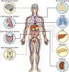 FIG 6