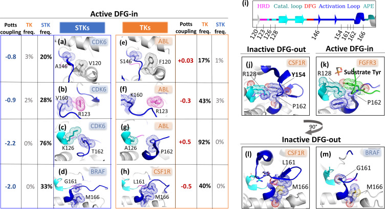 Figure 6—figure supplement 1.