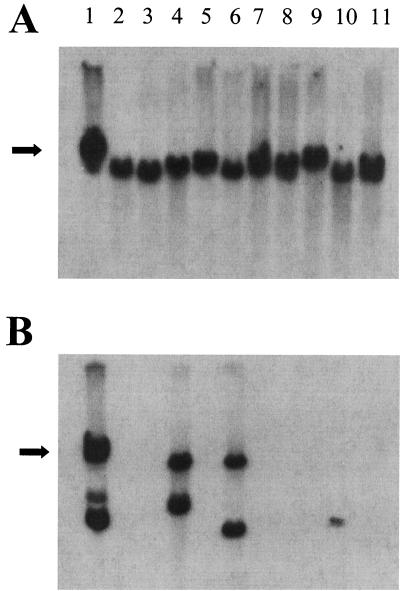 FIG. 8.