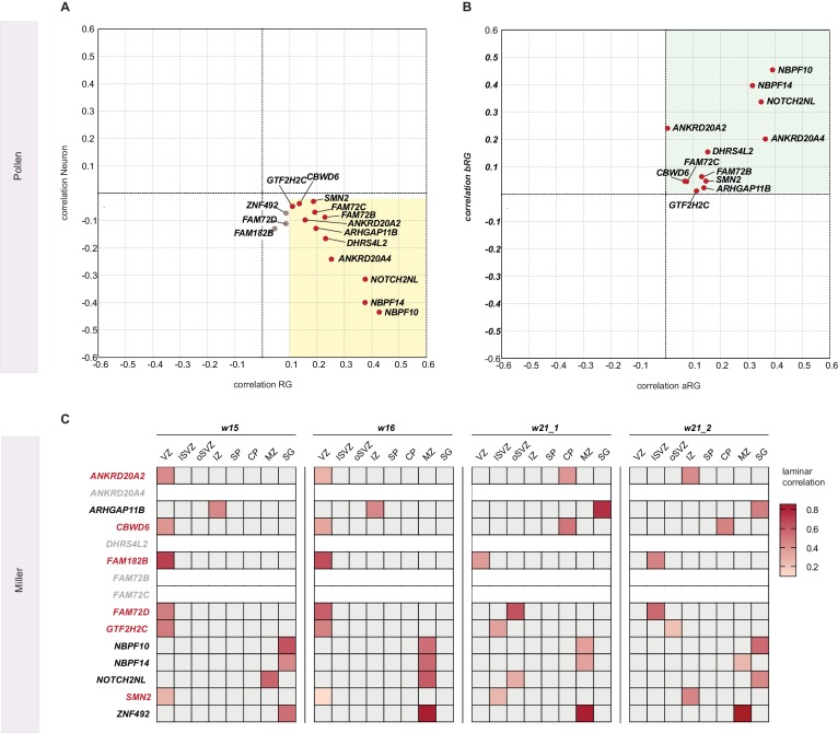 Figure 7—figure supplement 4.