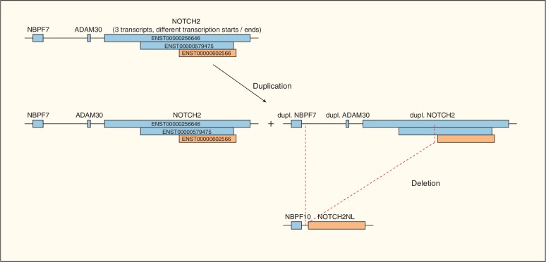 Figure 4—figure supplement 1.