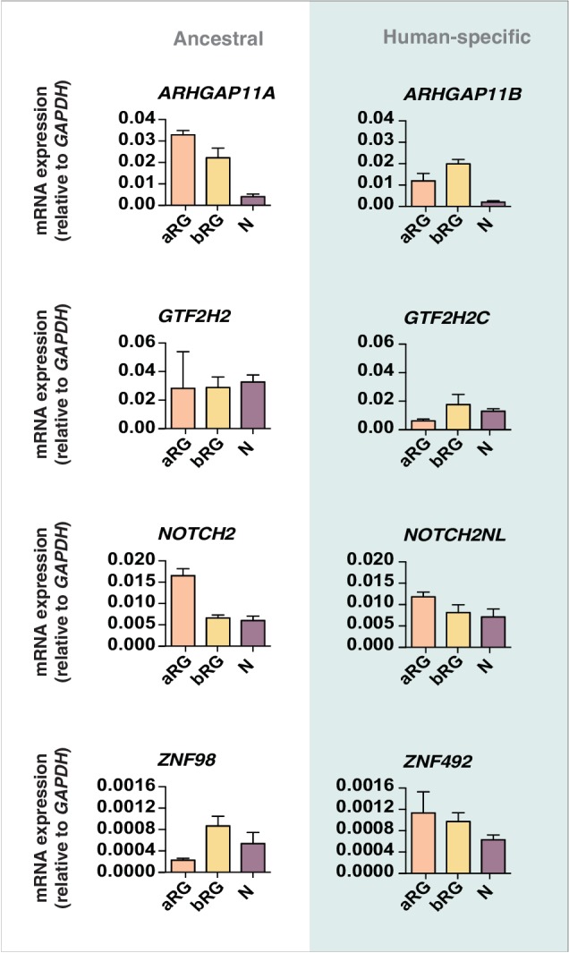 Figure 7—figure supplement 1.