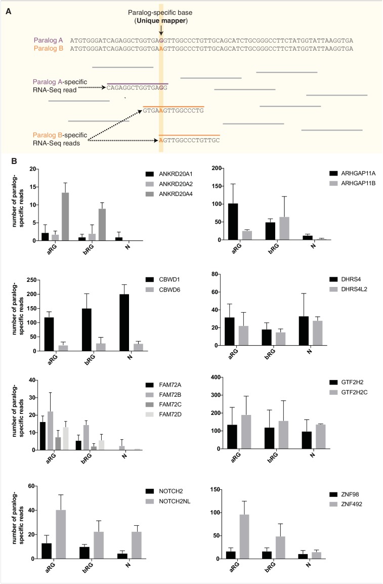 Figure 7—figure supplement 2.