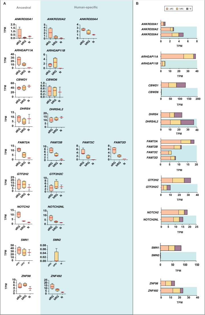 Figure 7.