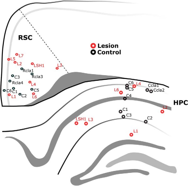 Figure 3.