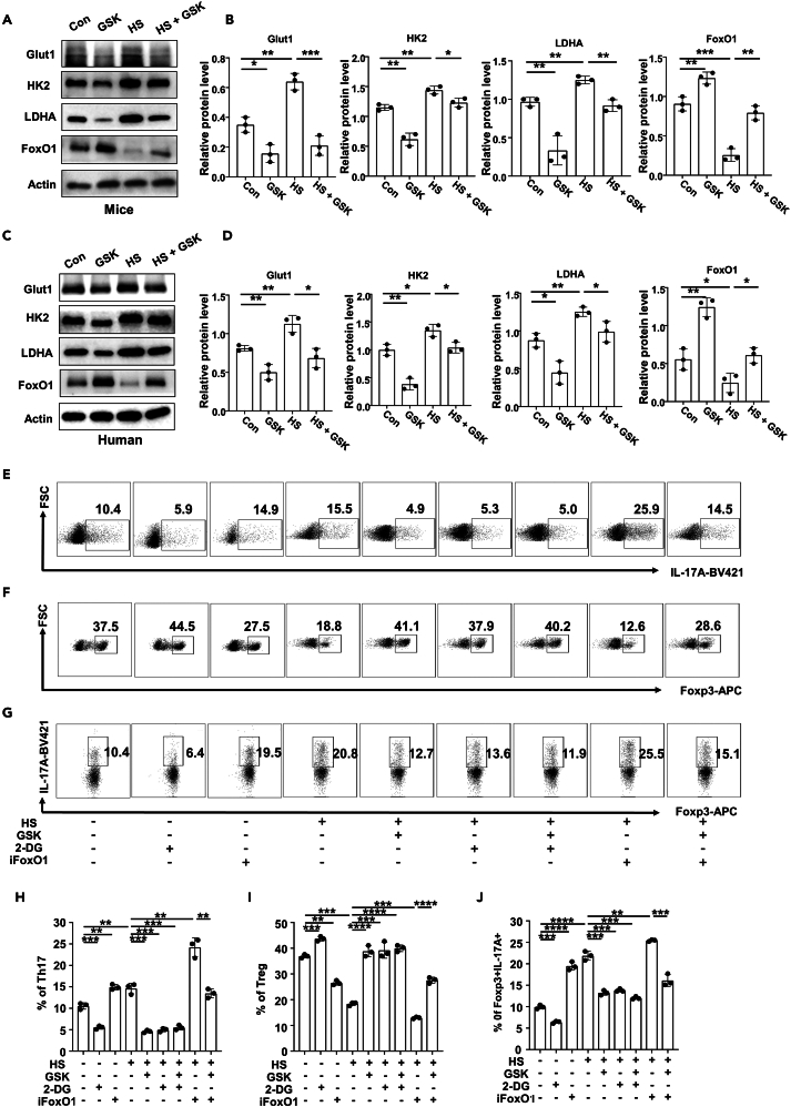 Figure 7