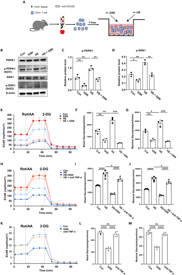 Figure 6