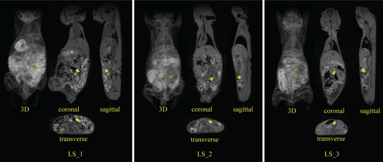 Fig. 8