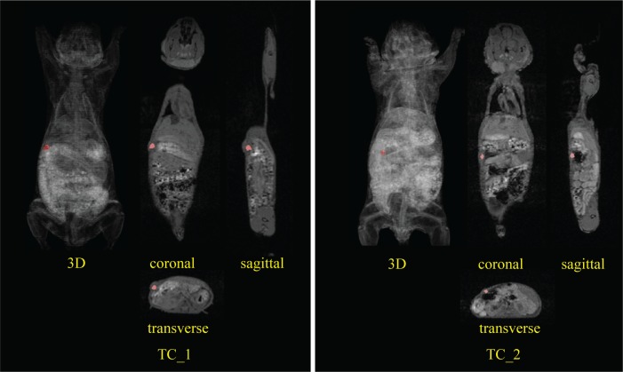 Fig. 11