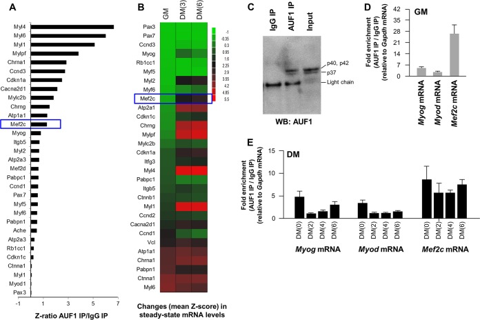 FIG 3