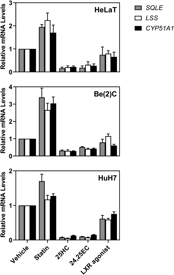 Figure 1.