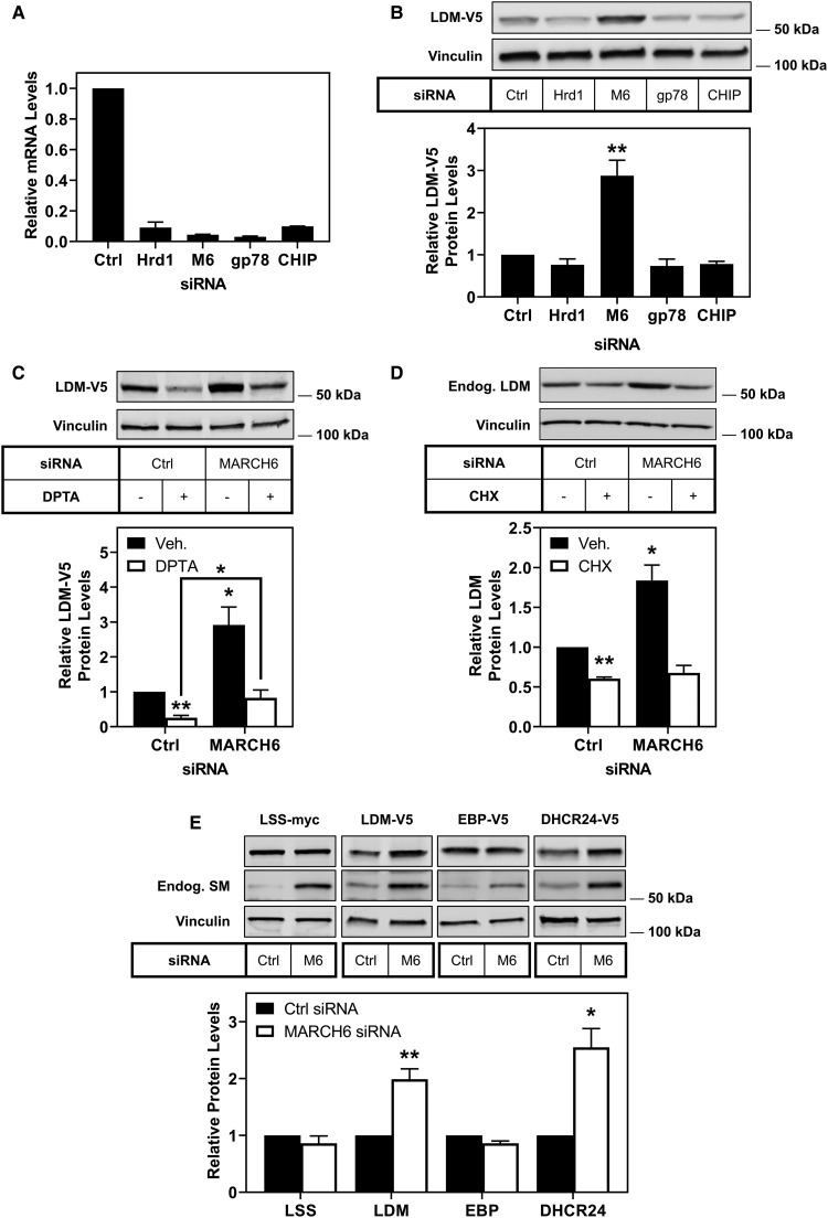 Figure 4.