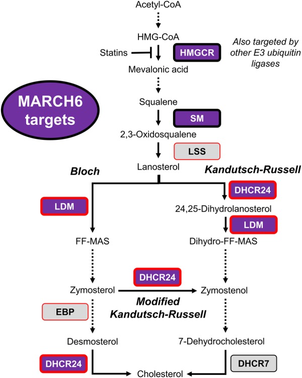 Figure 6.