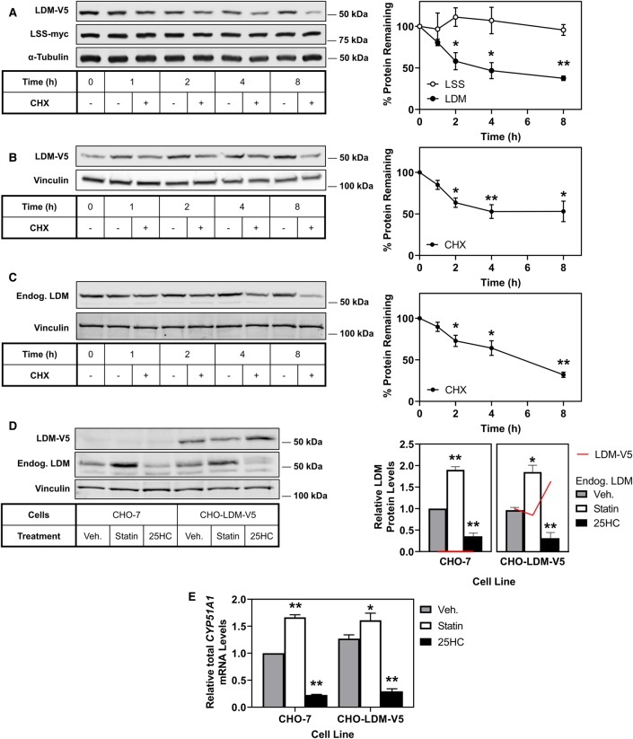 Figure 2.