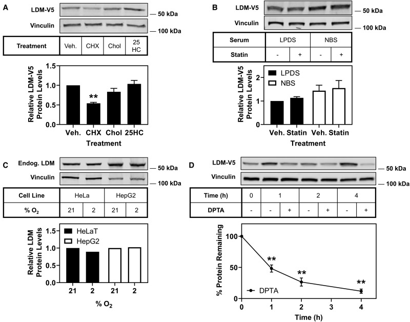 Figure 3.