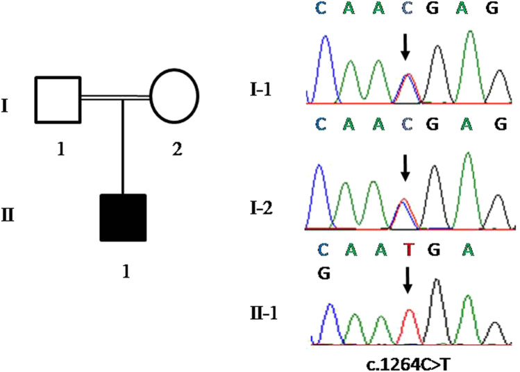 Fig. 2