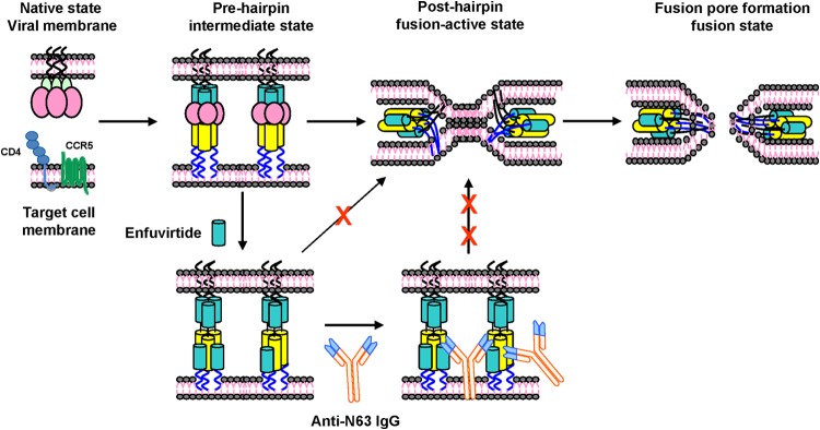 FIG 2