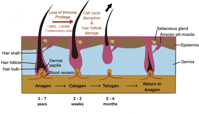 Fig. 2