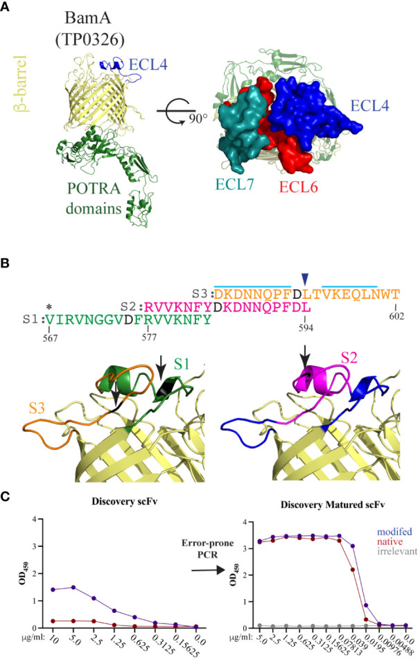 Figure 2