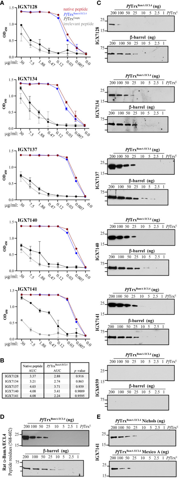 Figure 4