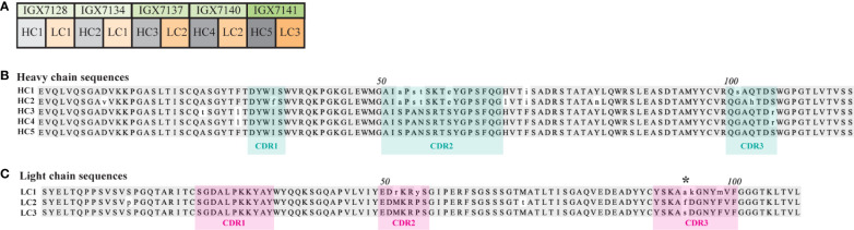 Figure 3