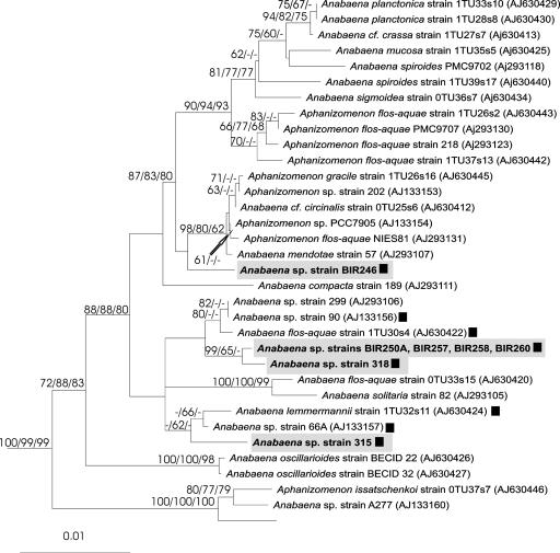 FIG. 6.