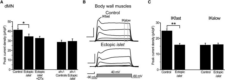 Figure 4