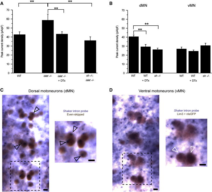 Figure 3