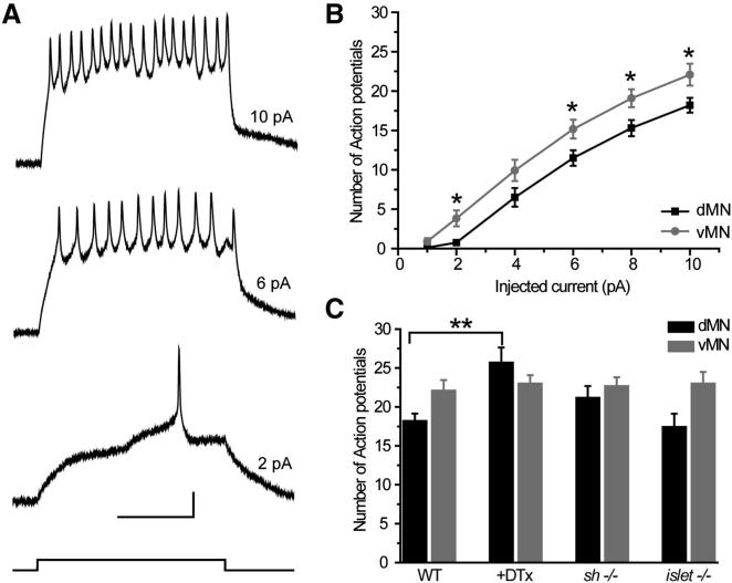 Figure 6