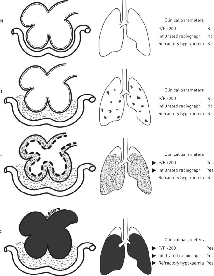 FIGURE 2