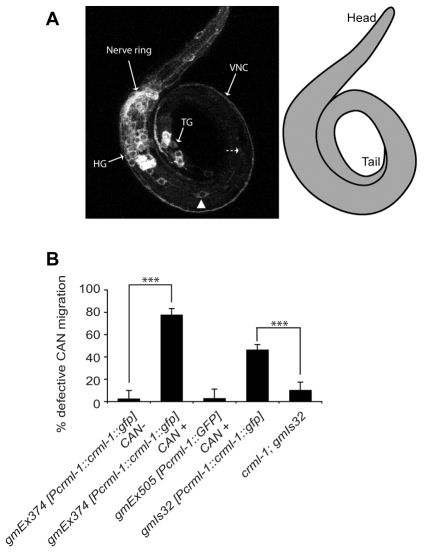 Fig. 3.