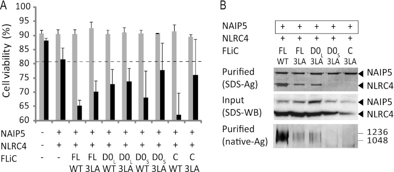 FIGURE 3.