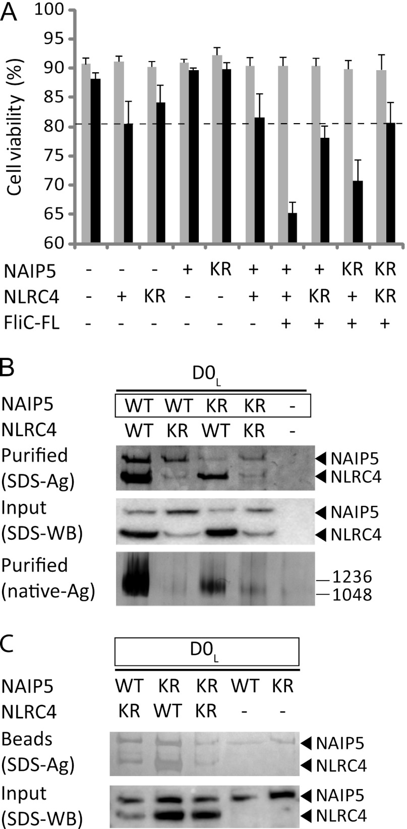 FIGURE 7.