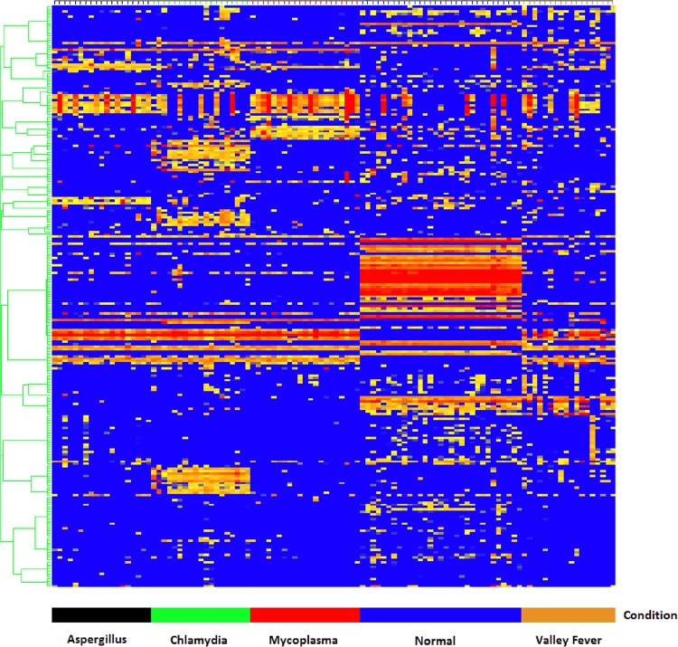 FIG 1